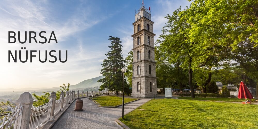 Bursa