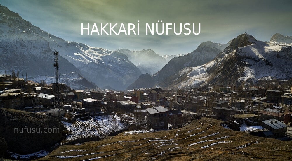 Hakkari Nufusu 2020 2021