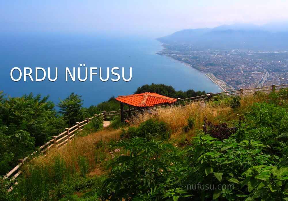 Ordu