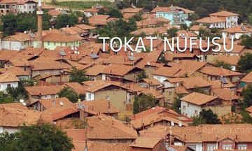 Tokat Müzeleri